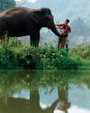 Four Seasons Tented Camp Golden Triangle 